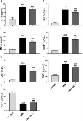 Undenatured Type II Collagen Ameliorates Inflammatory Responses and Articular Cartilage Damage in the Rat Model of Osteoarthritis